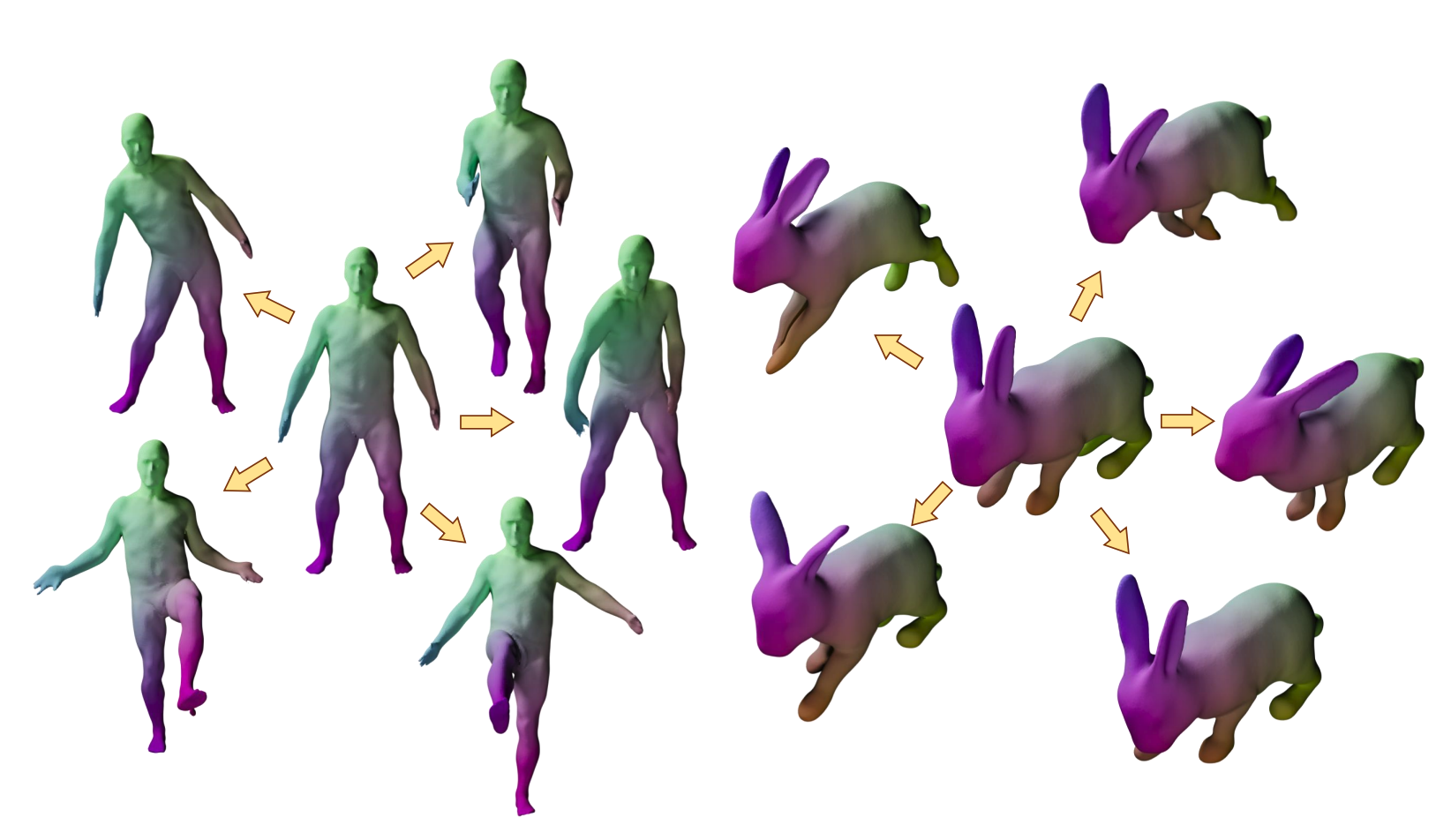 DeformShape framework loading...